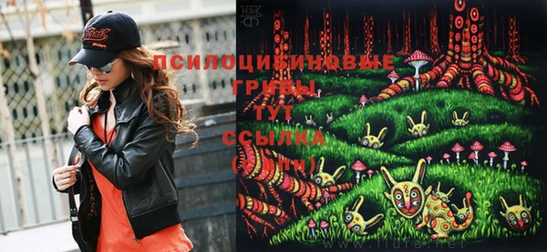 хмурый Дмитриев