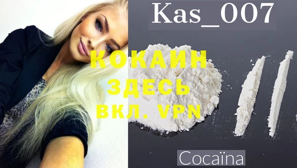 хмурый Дмитриев