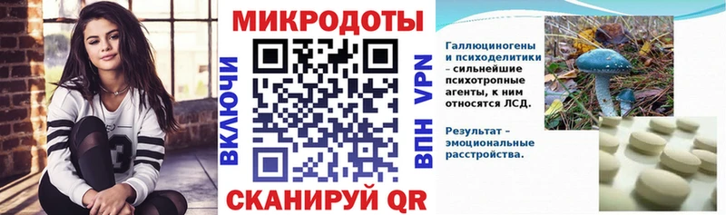 Псилоцибиновые грибы Psilocybine cubensis  Купить где  Карабулак 